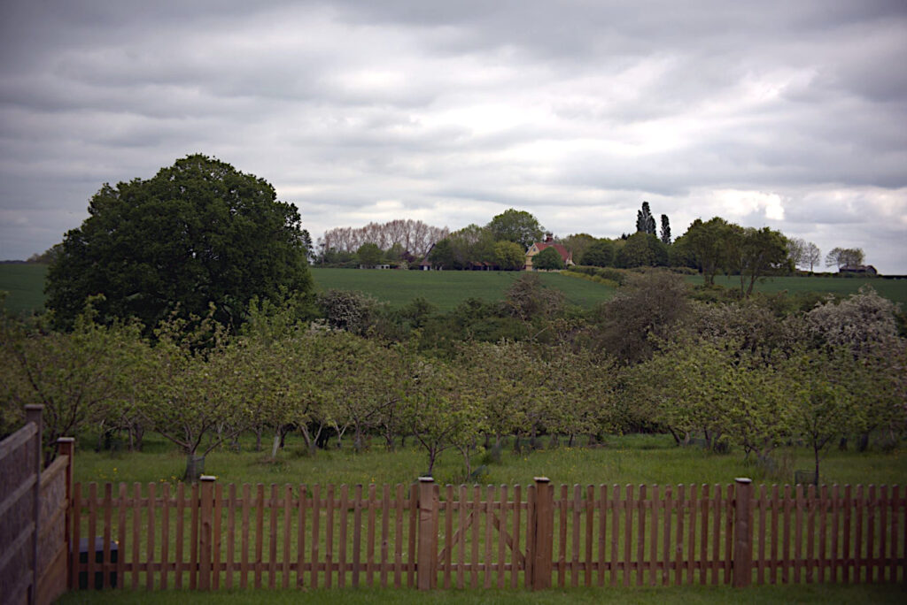 View from the Old Coach House